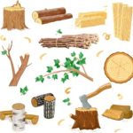 زنان ارزش آفرین